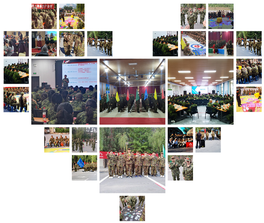 山東一諾生物,成長與發展的關鍵因素